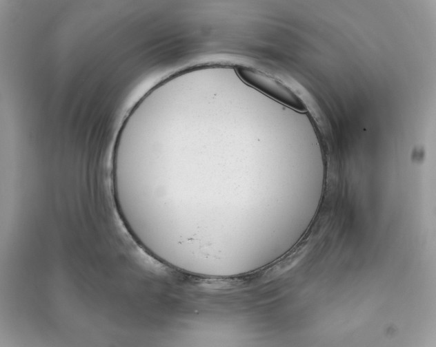 X0000090711199200708101458