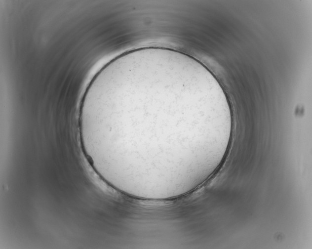 X0000090711200200708101458