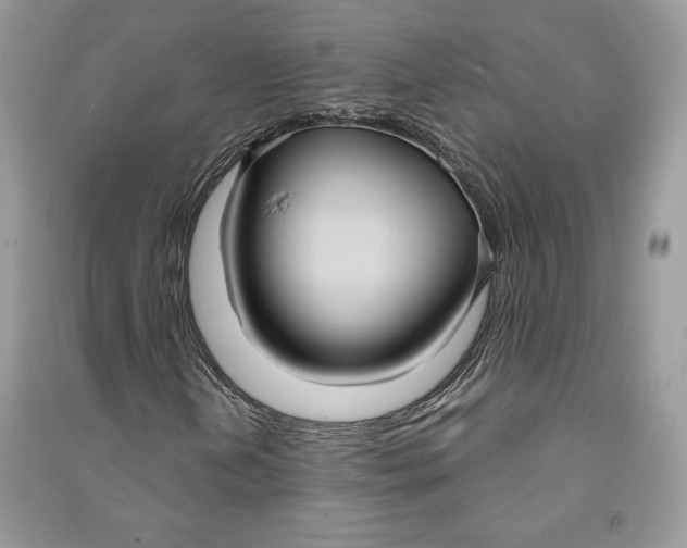 X0000090711202200708101458