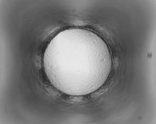 X0000090711205200708101458