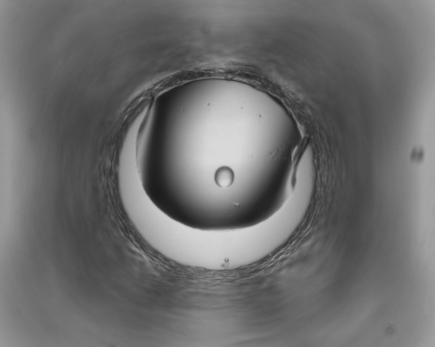 X0000090711206200708101458