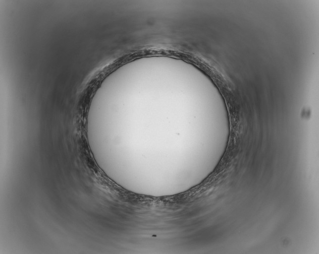 X0000090711207200708101458