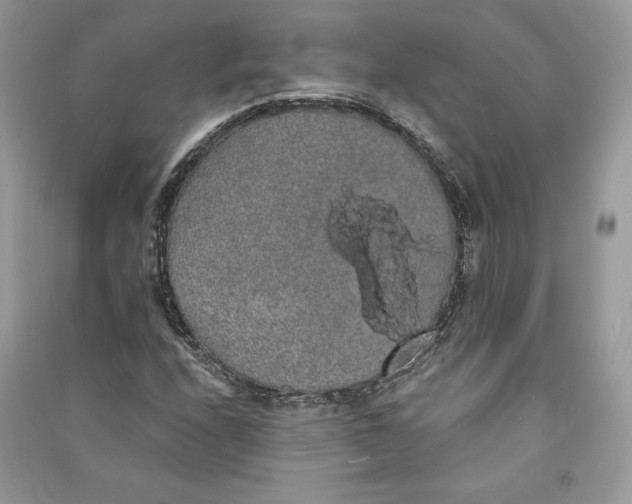 X0000090711208200708101458