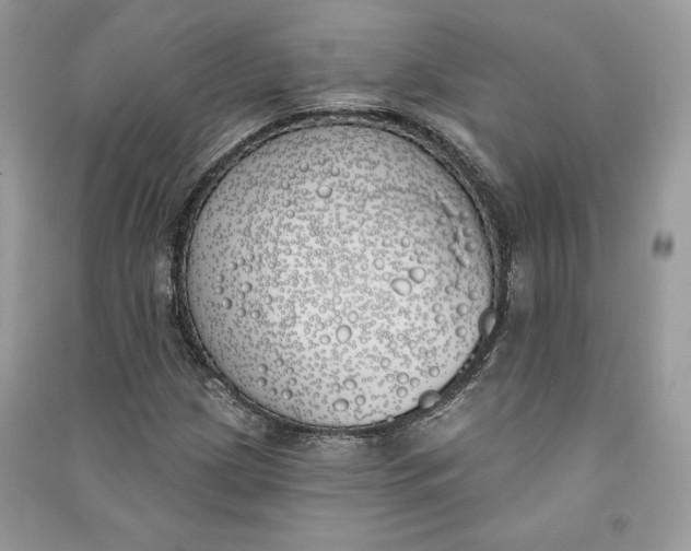 X0000090711209200708101458