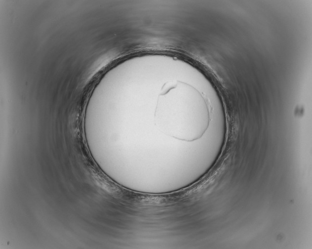 X0000090711211200708101458