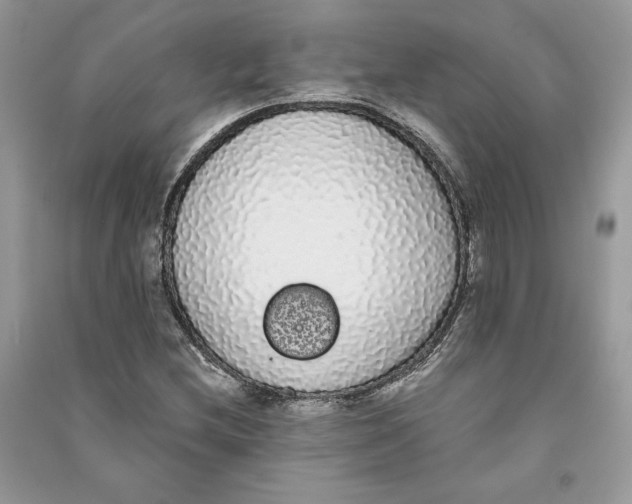 X0000090711212200708101458