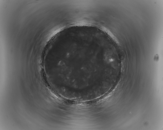 X0000090711213200708101458