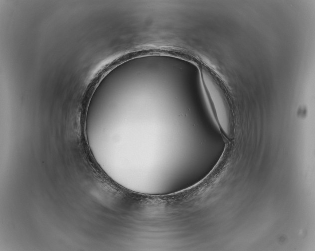 X0000090711214200708101458