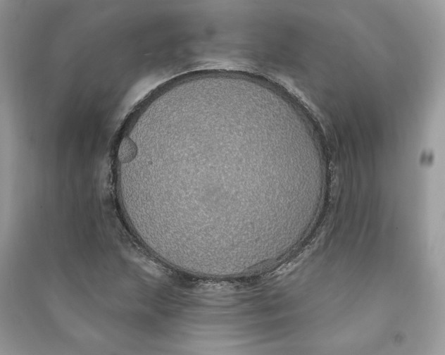 X0000090711215200708101458