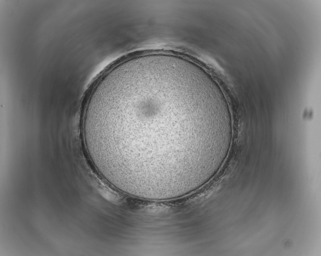 X0000090711216200708101458