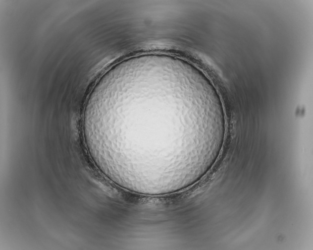 X0000090711217200708101458