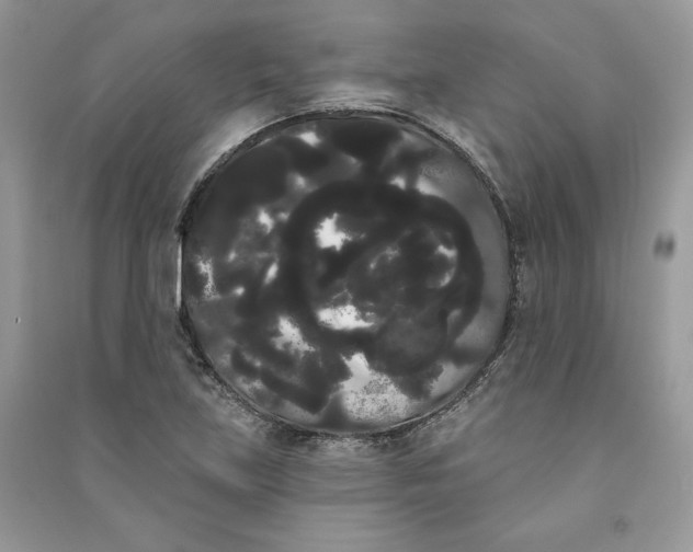 X0000090711219200708101458