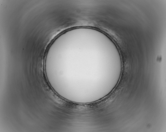 X0000090711220200708101458