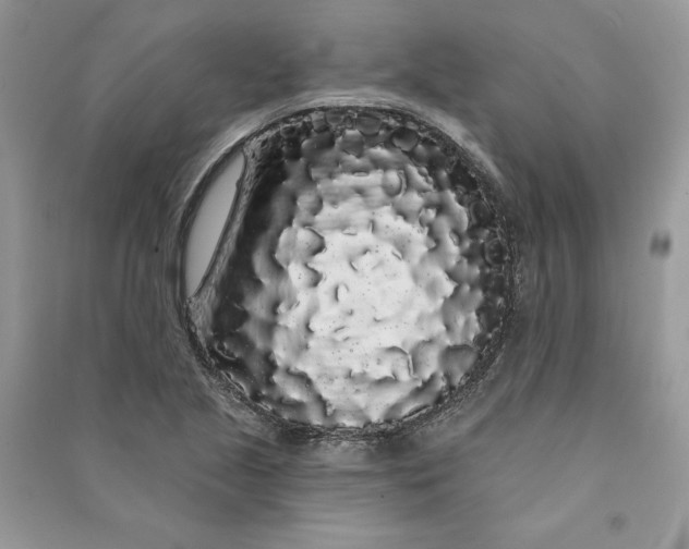 X0000090711221200708101458