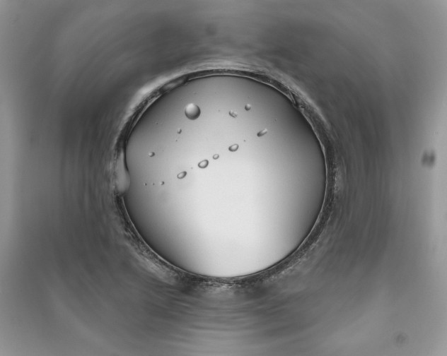 X0000090711222200708101458