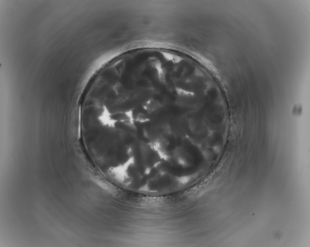 X0000090711223200708101458