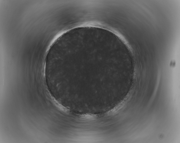 X0000090711224200708101458