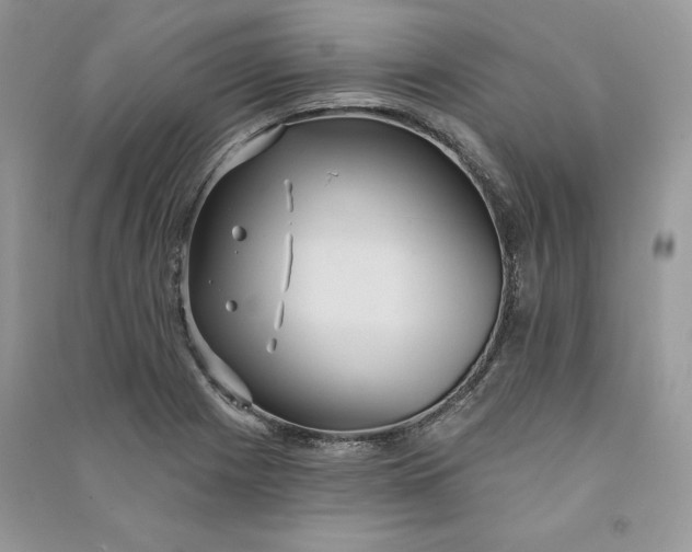 X0000090711225200708101458