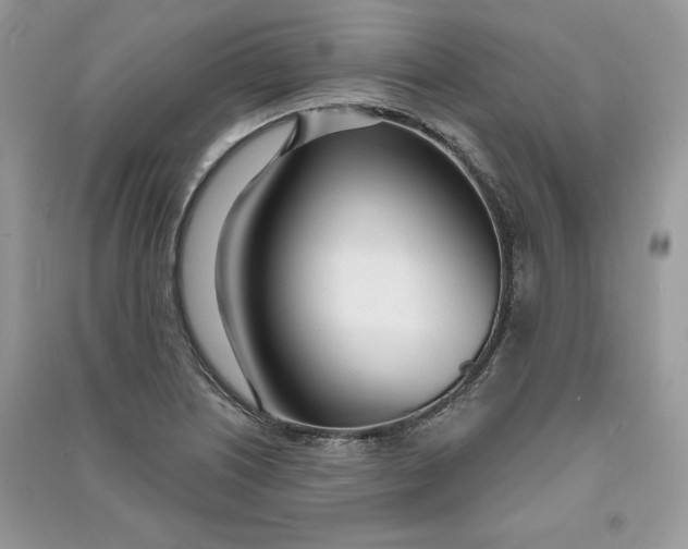 X0000090711226200708101458