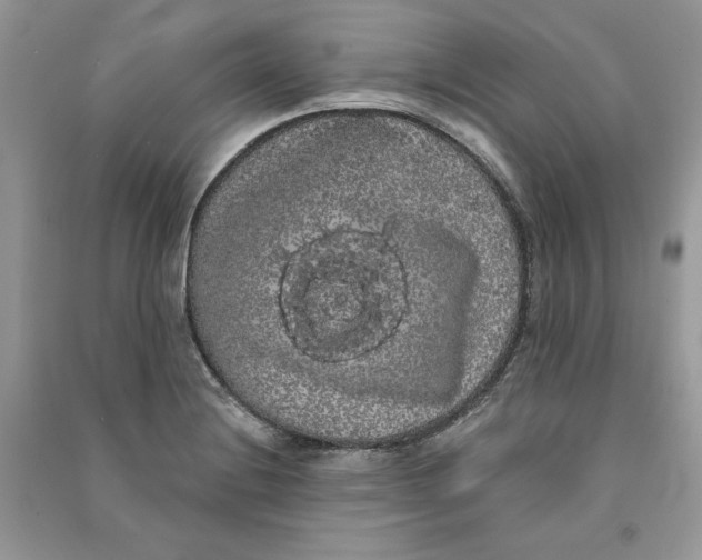 X0000090711228200708101458