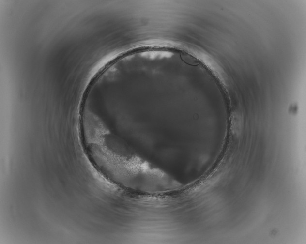 X0000090711229200708101458