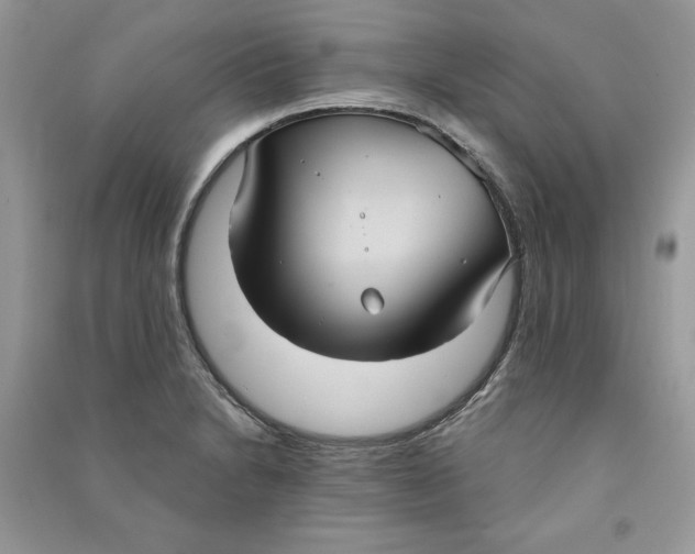 X0000090711230200708101458