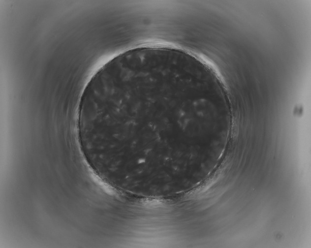 X0000090711231200708101458