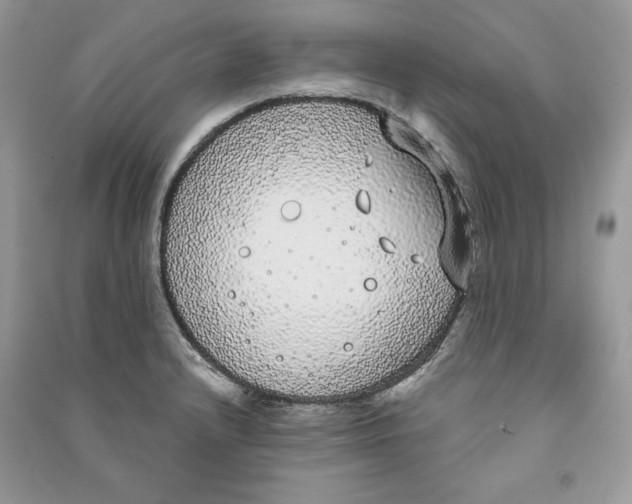 X0000090711232200708101458