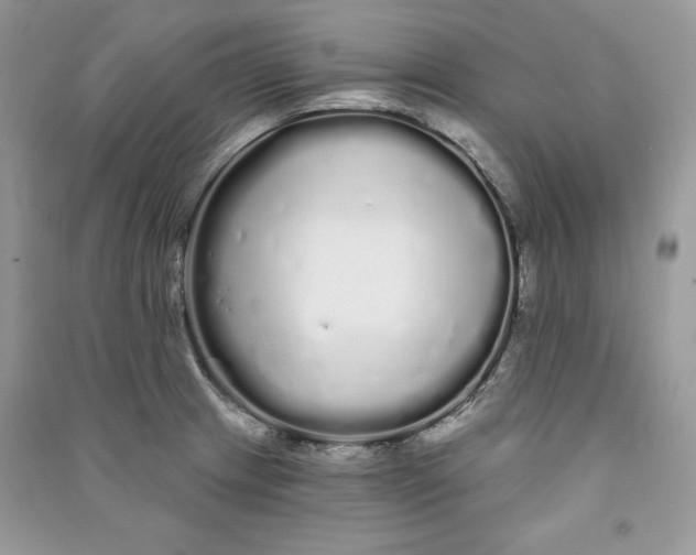 X0000090711233200708101458