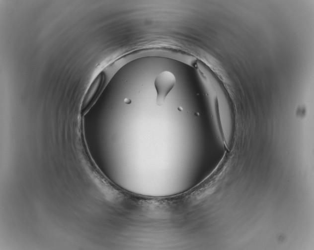 X0000090711234200708101458