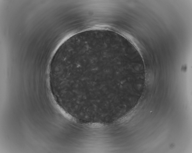 X0000090711235200708101458