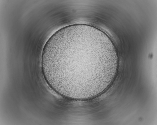 X0000090711236200708101458