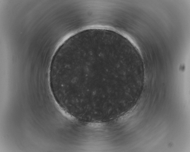 X0000090711237200708101458