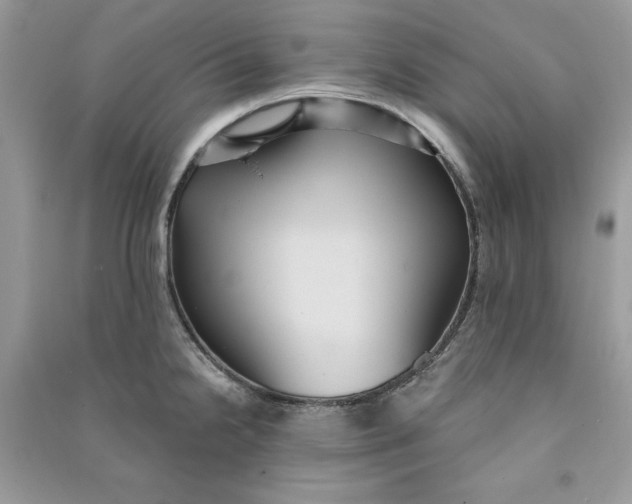 X0000090711238200708101458