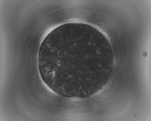 X0000090711239200708101458