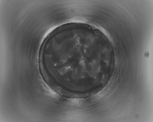 X0000090711240200708101458