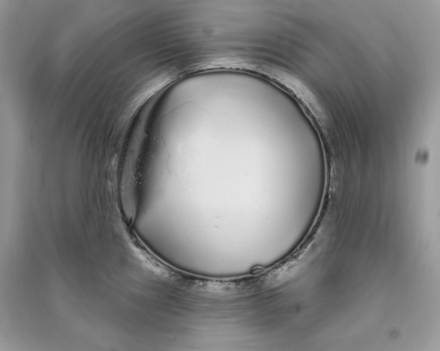 X0000090711241200708101458