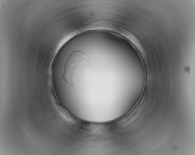 X0000090711242200708101458