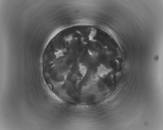 X0000090711243200708101458