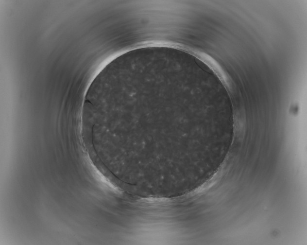 X0000090711244200708101458