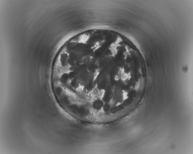 X0000090711245200708101458