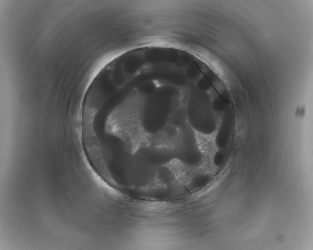 X0000090711247200708101458