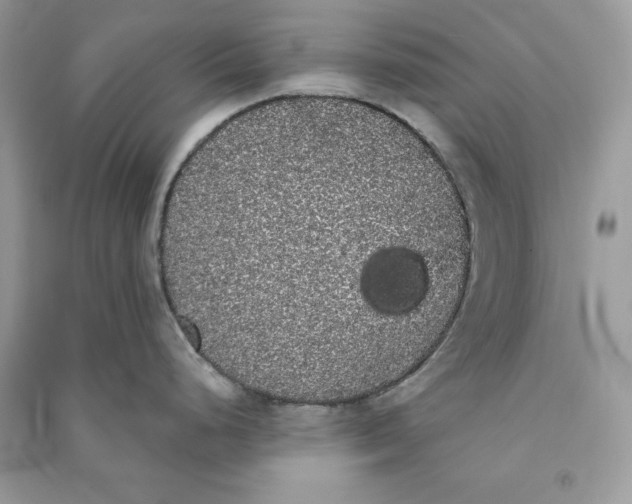 X0000090711248200708101458