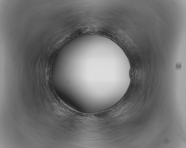 X0000090711250200708101458