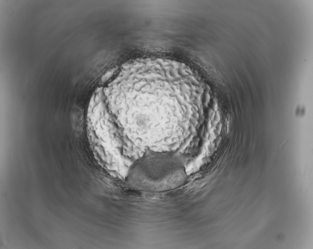 X0000090711251200708101458