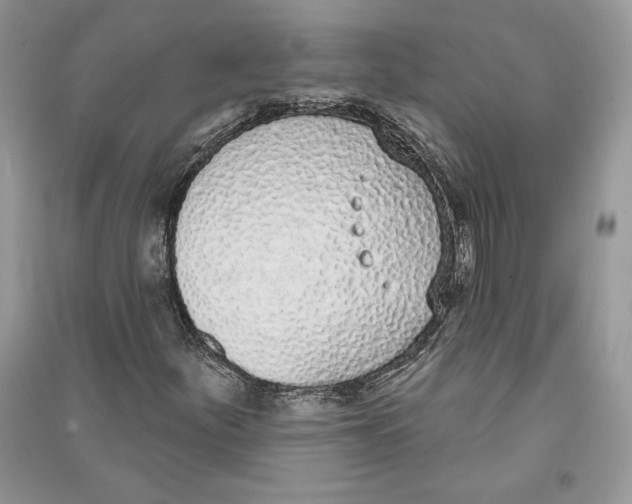 X0000090711252200708101458