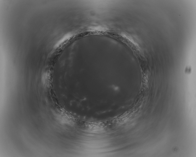 X0000090711254200708101458