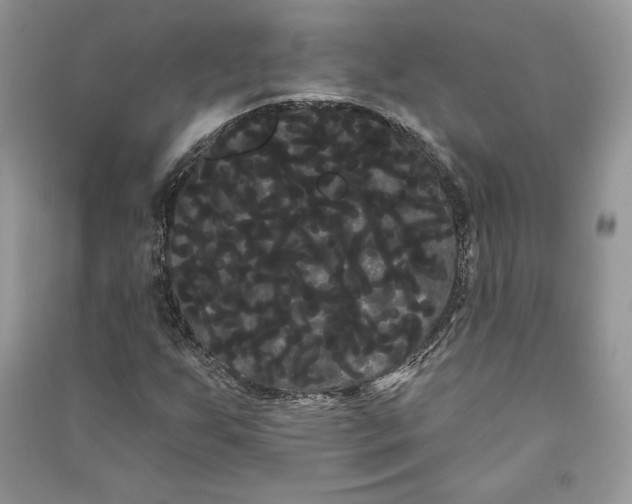 X0000090711255200708101458