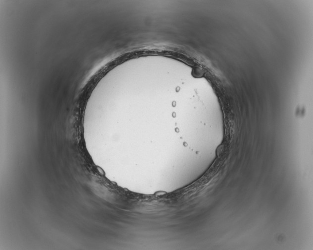 X0000090711256200708101457