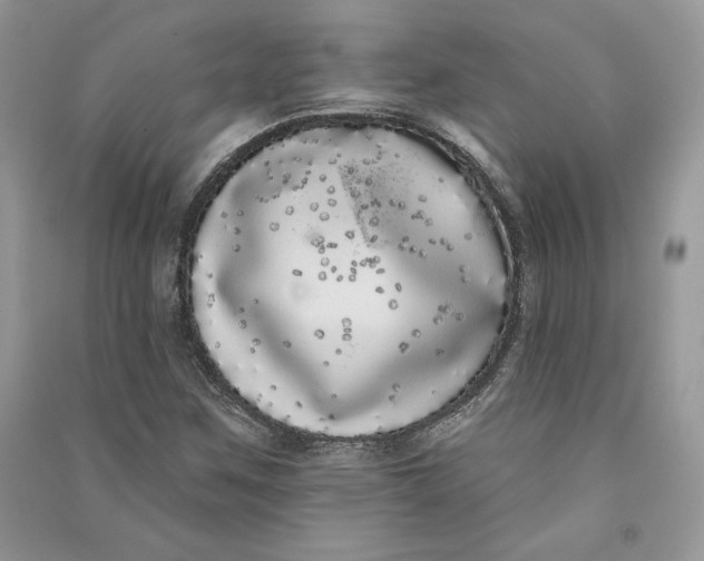 X0000090711259200708101457